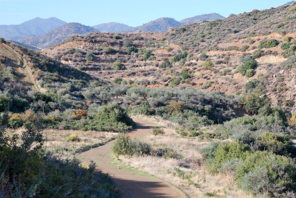 בית הארחה Vavla Rustic Retreat מראה חיצוני תמונה