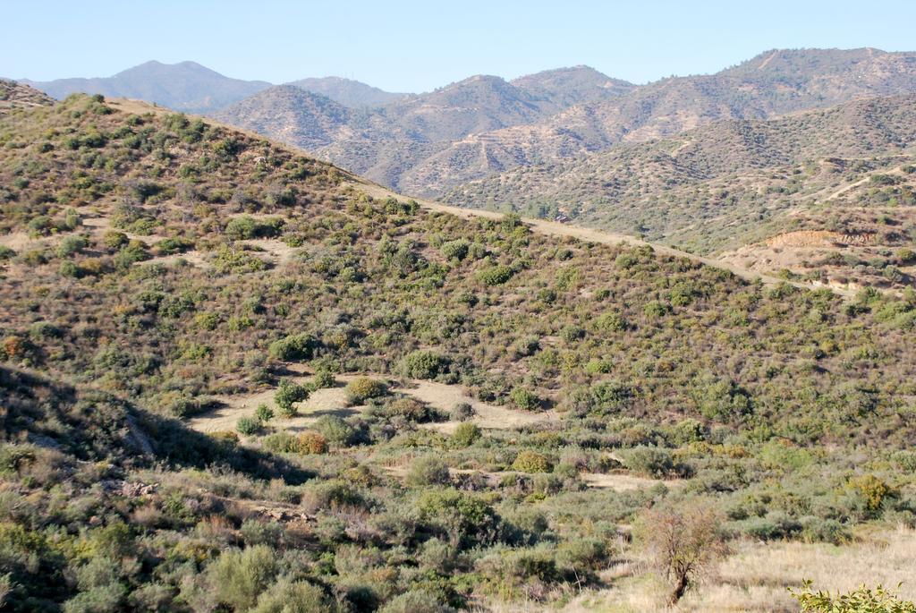 בית הארחה Vavla Rustic Retreat מראה חיצוני תמונה