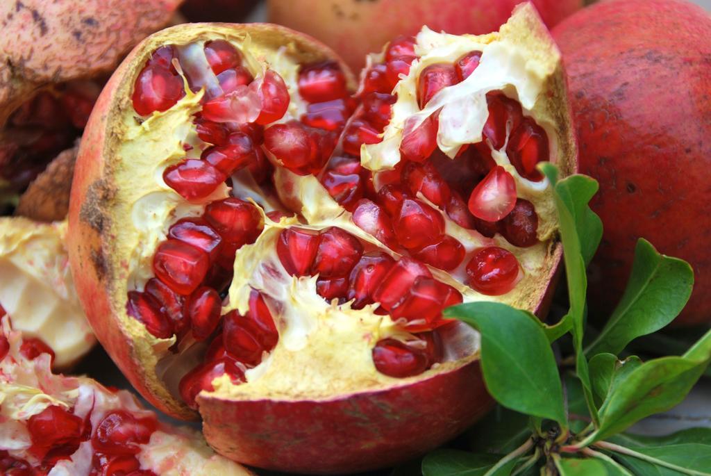 בית הארחה Vavla Rustic Retreat מראה חיצוני תמונה