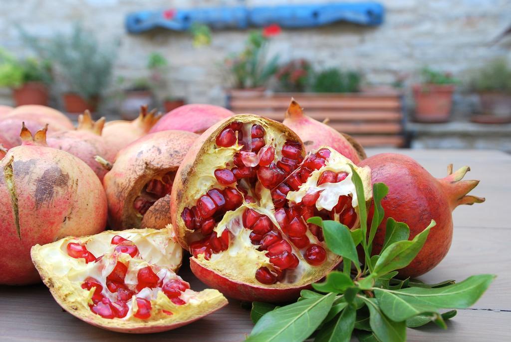 בית הארחה Vavla Rustic Retreat מראה חיצוני תמונה