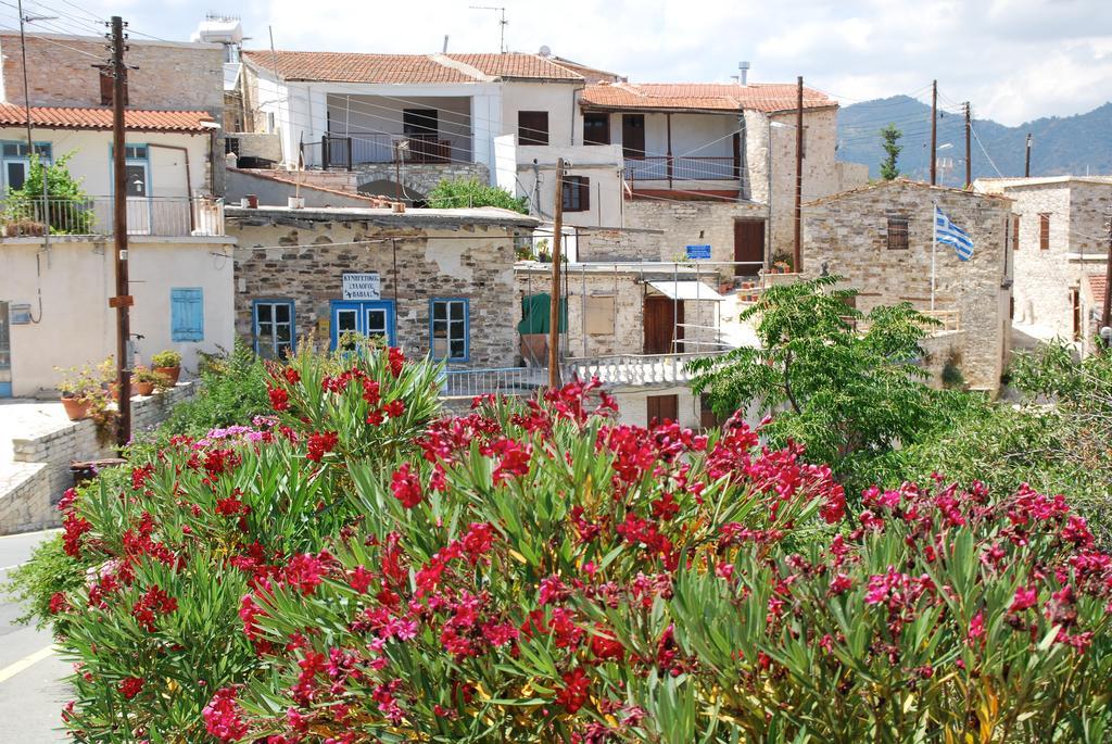 בית הארחה Vavla Rustic Retreat מראה חיצוני תמונה