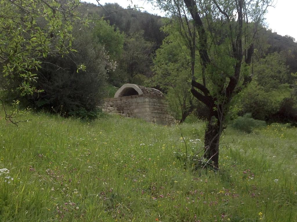 בית הארחה Vavla Rustic Retreat מראה חיצוני תמונה